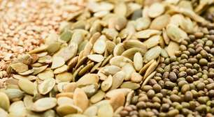 Segredos da dieta das gralhas: de sementes a pedras e argila