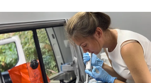 Nem mísseis, nem drones: o inimigo letal e invisível que se espalha pela Ucrânia (e a invenção bizarra usada para caçá-lo)