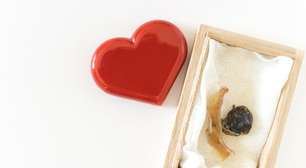 De colares de rótulas a lembranças com cordões umbilicais: os riscos de guardar e consumir tecido humano