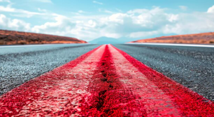 Estradas vermelhas na Índia: protegendo animais silvestres