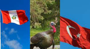 O grande paradoxo dos mapas: a confusão que fez o mundo inteiro dar o nome de uma única ave a dois países diferentes