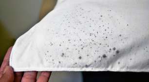 Mofo: como proteger as roupas antes que ele apareça?