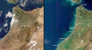 Chuvas intensas mudam a paisagem do Marrocos: há uma década o país não ficava tão verde