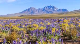 KAYAK revela 5 destinos com eventos naturais para ir em 2026