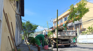 Programa Corredores Verdes chega a Realengo e planta mais de 180 mudas de árvores