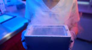 Brasil registra alta de 65% no congelamento de embriões em cinco anos