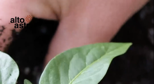 Cansada? Veja 3 hobbies que ajudam a aliviar o estresse depois do trabalho