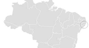 Por que a limpa-folha-do-Nordeste foi extinta no Brasil?