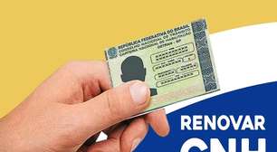 Entidade alerta para riscos na renovação automática da CNH