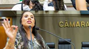 Mariana Lescano fala em crime contra à bandeira nacional após ato sobre feminicídio