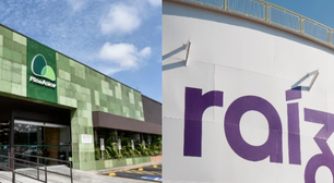 Grupo Pão de Açúcar e Raízen em recuperação: o que explica quebra de duas gigantes