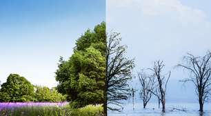 Empresa brasileira obtém 1ª acreditação UNFCCC das Américas