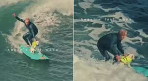 Lenda do surfe canino com câncer terminal pega sua última onda em despedida emocionante