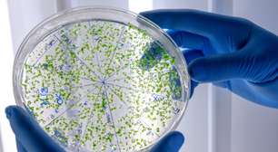 Hospital restringe atendimento para conter superbactéria