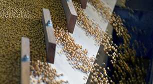 Setor de soja do Brasil acompanha com "preocupação" dificuldades para exportação à China