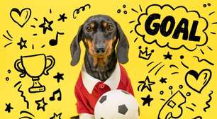 10 nomes para cachorro inspirados em times de futebol