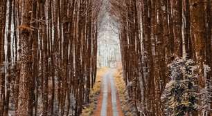 Sexta-feira 13 é o dia do azar?