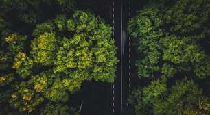 Empresas se adaptam às novas exigências de sustentabilidade