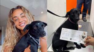 Tutora de Kim, cachorrinha que fugiu em Congonhas, explica o ocorrido: 'Adrenalina'