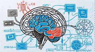 Evolução tecnológica seguirá como prioridade do Grupo Carrefour, diz CDO