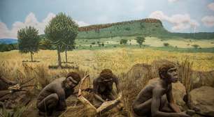 Não era só carne: dieta dos humanos caçadores de 8 mil anos atrás consistia em guisados meticulosos com peixes e vegetais, mostra estudo