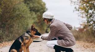 Quanto tempo vive um cachorro? Veja a expectativa de vida de cada raça