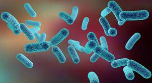 A importância da raríssima vitamina B12 para o corpo e a saúde