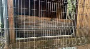 Homem invade zoológico e mata animal no RS