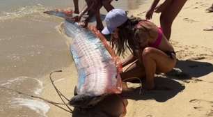'Peixes do fim do mundo' são encontrados em praia
