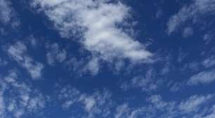 Jogadores trocam socos e expõem crise em clube na do Paulista; veja o vídeo