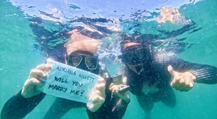 Viva o amor: James Hetfield pede namorada em casamento durante mergulho com tubarões