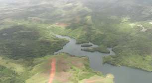 Em 1940, uma cobra apareceu em uma ilha dos EUA e acabou com a fauna: hoje, só sobraram as cobras e as aranhas