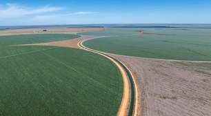 Áreas úmidas do Cerrado guardam carbono milenar