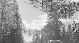 A Finlândia temia que a URSS atacasse suas estradas durante a Segunda Guerra Mundial, então inventou as árvores voadoras