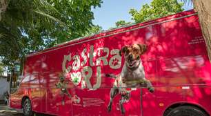 Itaguaí oferece castrações de pet de graça