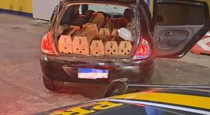 Dupla é presa transportando galos de rinha na BR 386, em Montenegro