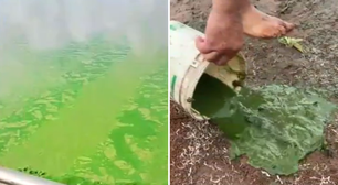 Algas se proliferam no Rio Tietê e fenômeno atinge ao menos três cidades do interior de SP