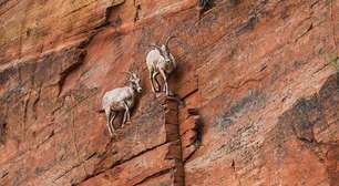 Nove dicas sobre como lidar com a ansiedade