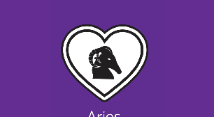 Áries no amor: veja a combinação dos arianos com os 12 signos