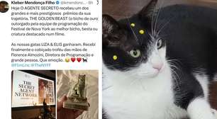 Conheça Carminha, a gata que aparece no filme 'O Agente Secreto'