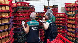 Fábrica de pães é fechada e multada por infestação de baratas