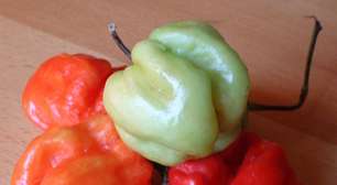 Quitutes apimentados que fazem sucesso em diferentes países