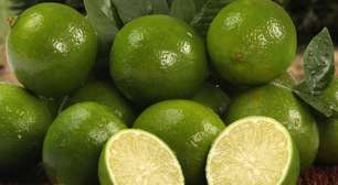 Confira 10 alimentos benéficos para os rins