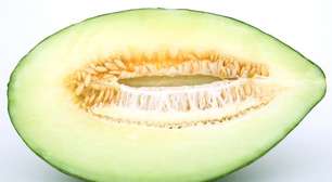 Versatilidade do melão favorece saúde com nutrição e hidratação