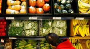 Processadores de Soja Pedem Que Brasil Permita Que Consumidores Decidam sobre Biodiesel