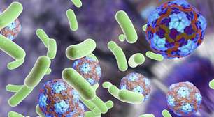 Fermentação: como os microrganismos produzem energia
