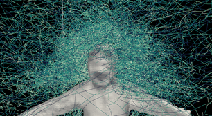 Centenas de mosquitos famintos, um voluntário e um traje de malha ajudaram a descobrir como esses insetos mortais acham seus alvos