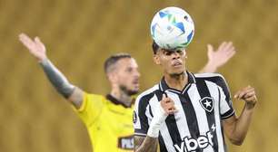 Newton desfalca o Botafogo por três semanas
