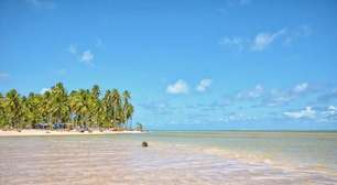 Porto de Pedras: melhores praias para ir no lado mais paradisíaco de Alagoas