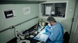 Câmara aprova projeto que prevê aposentadoria para pesquisadores; entenda